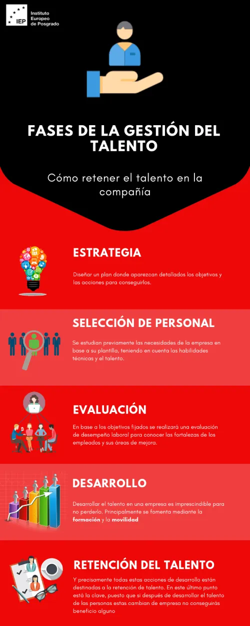 Fases de la Gestión del Talento Fases de la Gestión del Talento